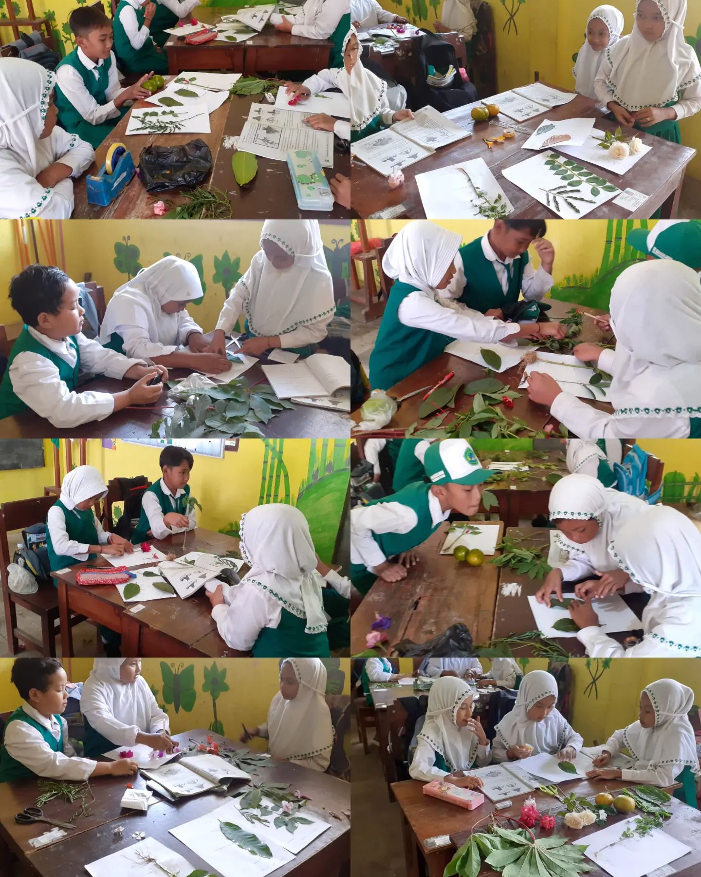 thumbnail for Mengidentifikasi bentuk daun kelas 4