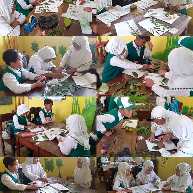 thumbnail for Mengidentifikasi bentuk daun kelas 4